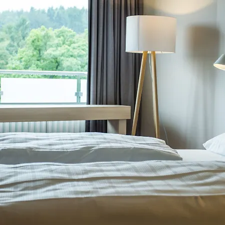 雷姆沙伊德瑟尔维酒店 酒店 3*